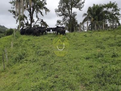 Stio para Venda, em Cajati, bairro Cortesia