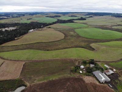 Fazenda para Venda, em Curitibanos, bairro Guarda-mor