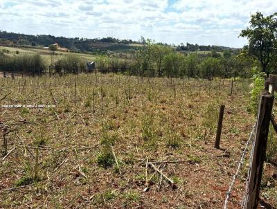 Lote para Venda, em Cesrio Lange, bairro -