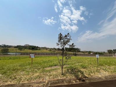 Terreno para Venda, em Pirapozinho, bairro Residencial Valncia I