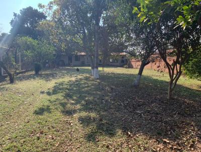 imagem-miniatura