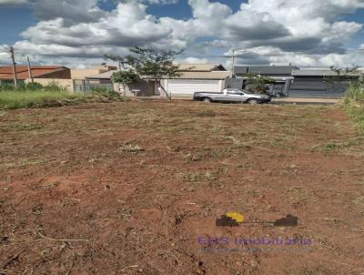 Terreno para Venda, em So Jos do Rio Preto, bairro Parque vila  nobre