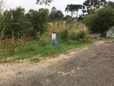 Terreno para Venda, em Quatro Barras, bairro Jardim Pinheiro