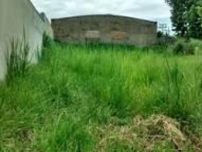 Terreno para Venda, em Ribeiro Preto, bairro Alto da Boa Vista