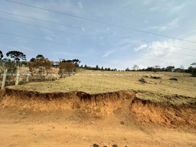 Terreno para Venda, em Toledo, bairro Pitangueiras