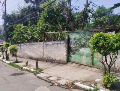 Terreno para Venda, em So Paulo, bairro Vila Castelo