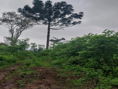 rea Rural para Venda, em Marat, bairro interior