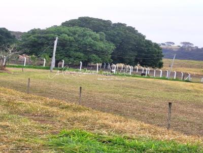 Chcara para Venda, em Vera Cruz, bairro rea Rural