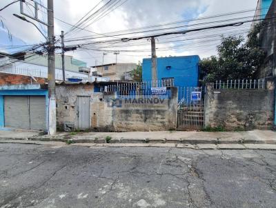 Terreno para Venda, em So Paulo, bairro Vila Suia