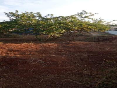 Terreno para Venda, em Lins, bairro Junqueira