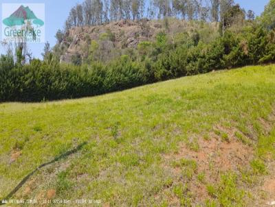 Terreno para Venda, em Bragana Paulista, bairro Serrinha