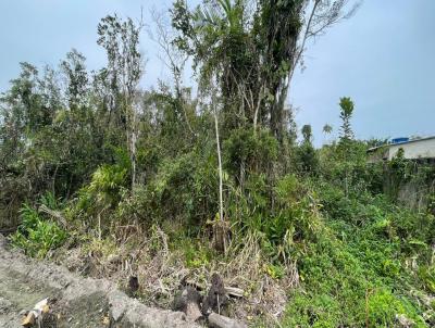 Terreno para Venda, em Itanham, bairro Jardim Maramb 2