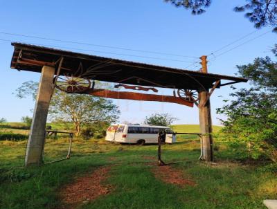 Chcara para Venda, em Coronel Barros, bairro LINHA 11