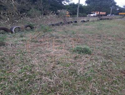 Terreno para Venda, em Iju, bairro ITA