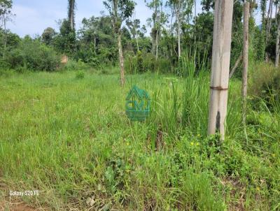 Terreno para Venda, em Ubatuba, bairro Praia da Tabatinga