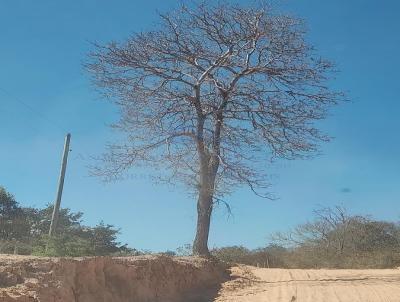 Fazenda para Venda, em Montalvnia, bairro rea Rural