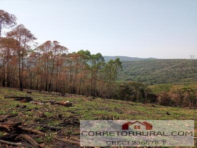 Terreno para Venda, em Piedade, bairro Furnas