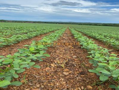 Fazenda para Venda, em Campinpolis, bairro Zona rural