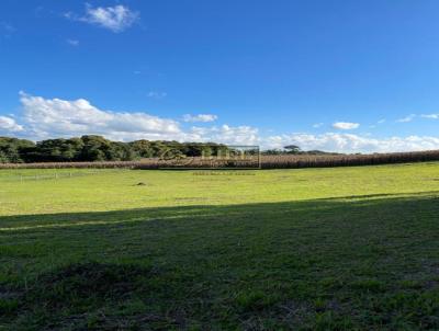 Terreno Rural para Venda, em Campo Alegre, bairro Lageado