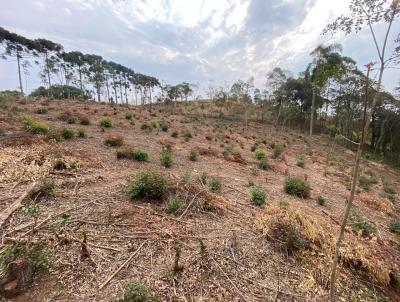 Terreno para Venda, em Toledo, bairro Pitangueiras