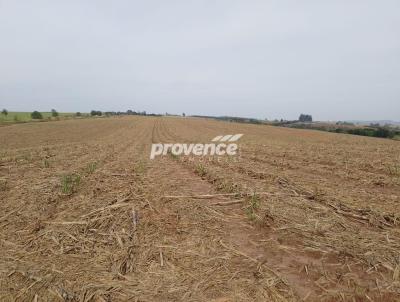 Fazenda para Venda, em Capivari, bairro Centro