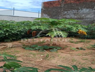 Terreno para Venda, em Presidente Prudente, bairro Conjunto Habitacional Ana Jacinta