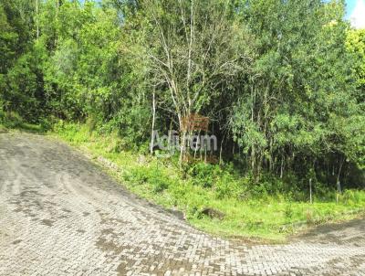 Terreno para Venda, em Trs Coroas, bairro Linha 28