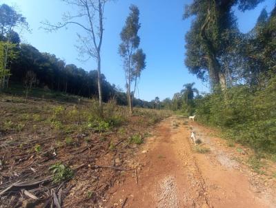 Stio / Chcara para Venda, em Nova Petrpolis, bairro Linha Olinda