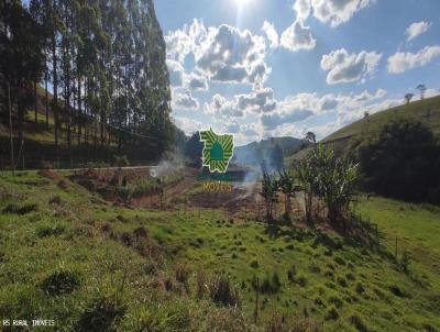 Stio para Venda, em Carangola, bairro BR-482, 3 dormitrios, 2 banheiros, 1 sute