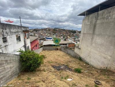 Terreno para Venda, em Juiz de Fora, bairro Jardim dos Alfineteiros