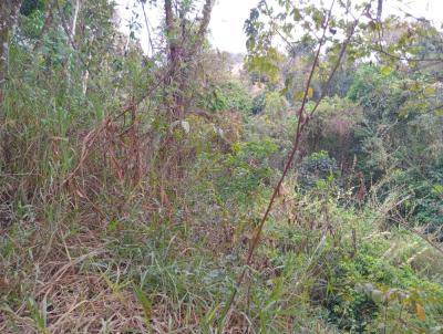 Stio para Venda, em Juiz de Fora, bairro Morro do Sabo / Humait