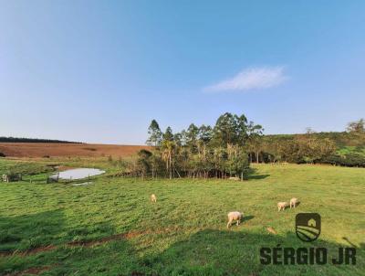 rea Rural para Venda, em Triunfo, bairro rea rural, 2 dormitrios, 2 banheiros, 1 vaga