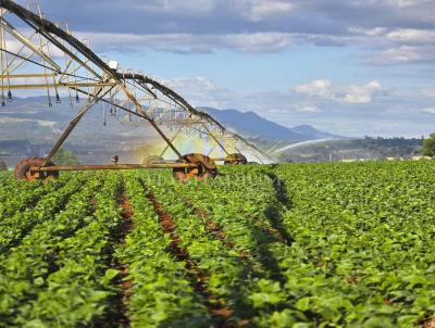 Fazenda para Venda, em So Joo da Boa Vista, bairro rea Rural de So Joo da Boa Vista