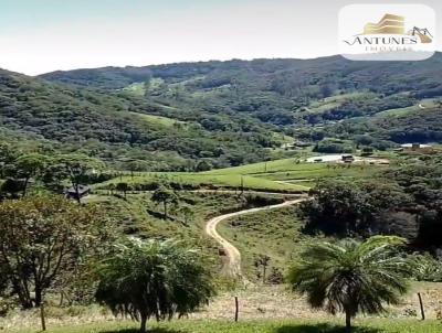 Stio para Venda, em guas Mornas, bairro Canto do Rio Gaspar, 2 dormitrios, 3 banheiros