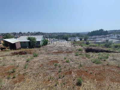 Terreno para Venda, em Pato Branco, bairro Alvorada