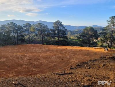 Terreno para Venda, em Terespolis, bairro Fazenda Suia