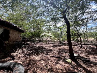 Terreno para Venda, em Teresina, bairro Pedra Mole