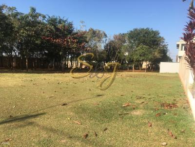 Terreno para Venda, em Paulnia, bairro Betel