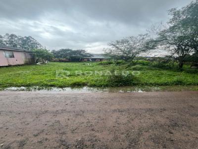 Terreno para Venda, em Nova Hartz, bairro Liberdade