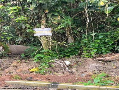 Terreno para Venda, em So Sebastio, bairro Boraceia