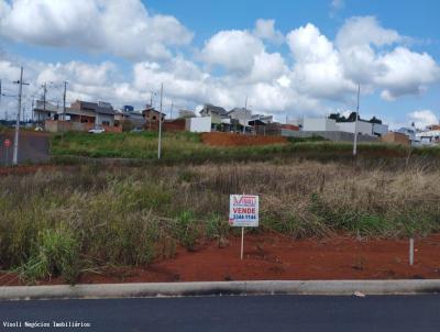 Terreno Residencial para Venda, em Vitorino, bairro .