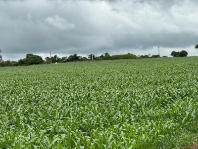 Fazenda para Venda, em Varjo de Minas, bairro RURAL, 2 dormitrios, 1 banheiro