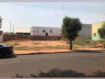 Terreno para Venda, em Taciba, bairro Centro