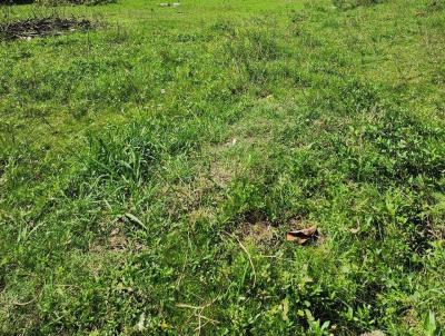 Terreno para Venda, em Camaqu, bairro Olaria