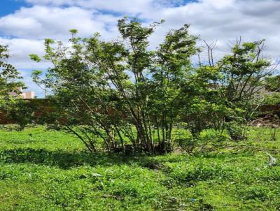 Terreno para Venda, em Camaqu, bairro Dona Tereza