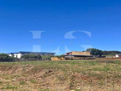 Terreno para Venda, em Guarapuava, bairro Batel