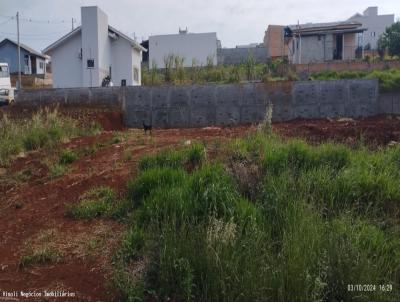 Terreno Residencial para Venda, em Vitorino, bairro .