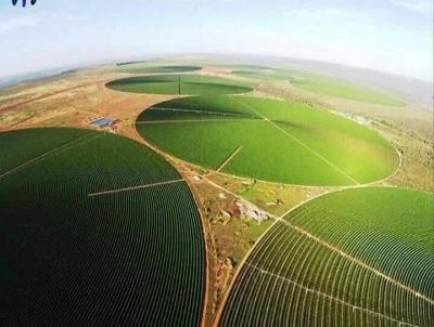 Fazenda para Venda, em Buritizeiro, bairro Centro