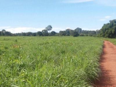 Fazenda para Venda, em Araguau, bairro Bandeira Branca