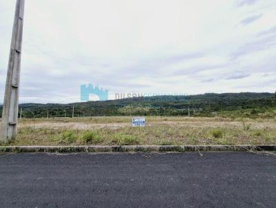 Lote para Venda, em Cricima, bairro Naspolini